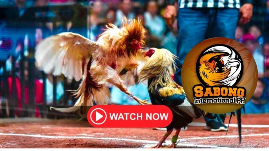 ph love casino online 100% free messaging dating sites